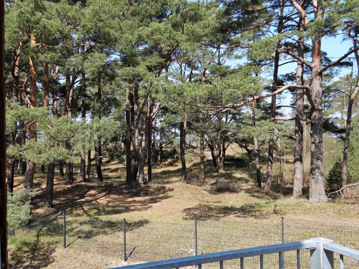 Ferienanlage Haus Hinter Den Duenen App 6 Dg 2 Prerow Exteriér fotografie